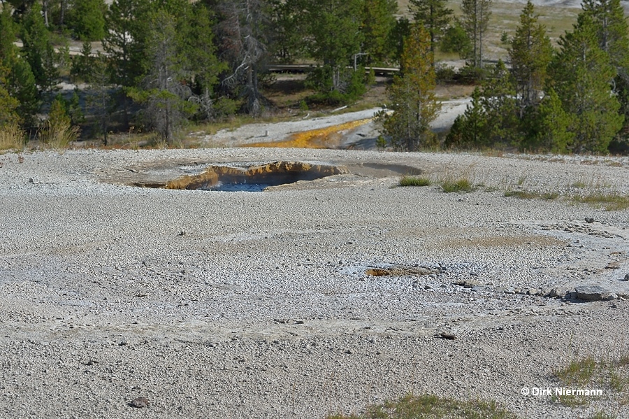 Little Squirt Geyser and Silver Spring Yellowstone