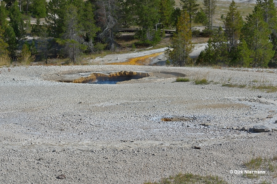 Little Squirt Geyser and Silver Spring Yellowstone