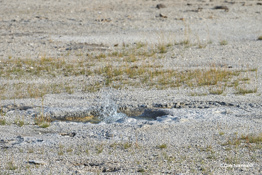 Model Geyser Yellowstone