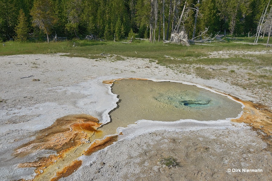 Pendant Spring Yellowstone