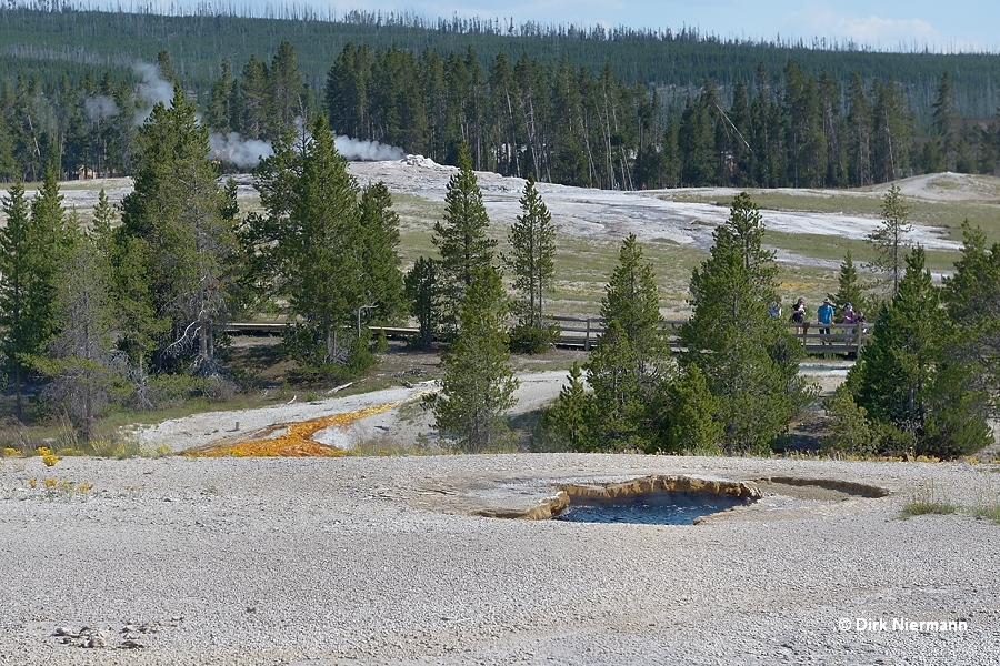 Silver Spring Yellowstone