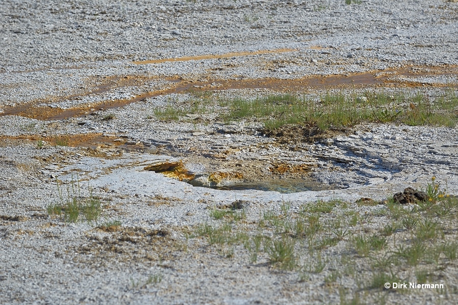 Slot Geyser Yellowstone