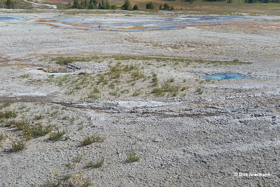 Slot Geyser and Plate Geyser Yellowstone