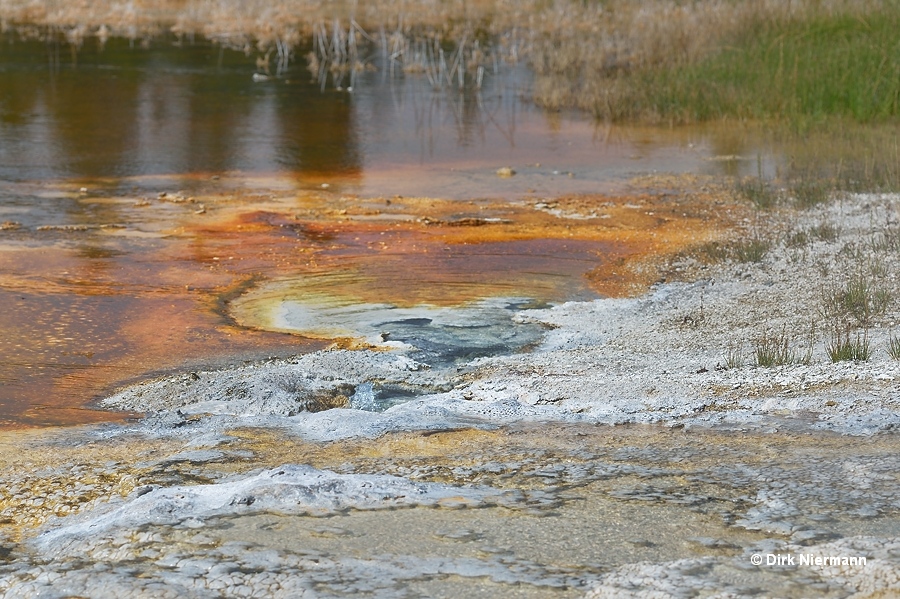 Spouter near Pump Geyser Yellowstone