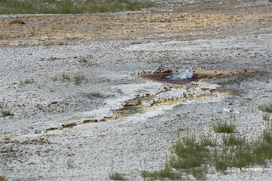 Perpetual Spouter Geyser Hill