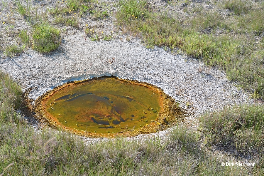 Geyser Hill, spring near the fork to Solitary Geyser Yellowstone