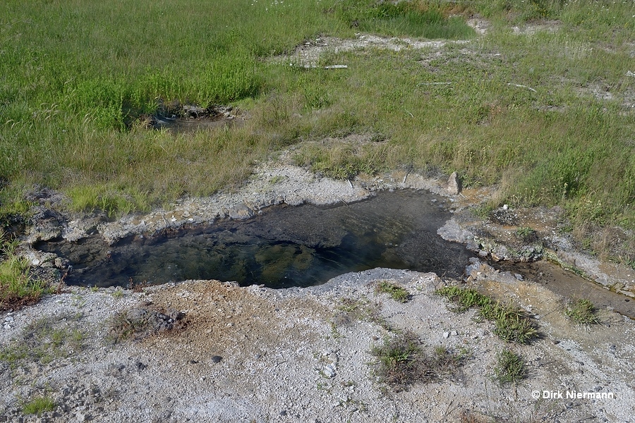 Sulphide Spring Yellowstone