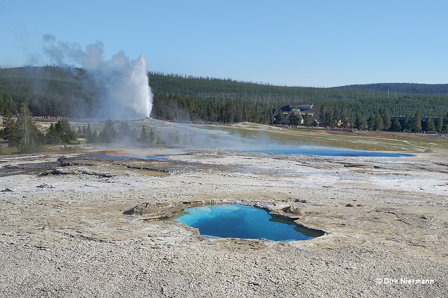 Vault Spring and Giantess Geyser Yellowstone