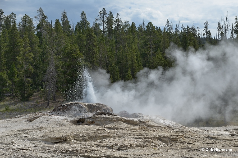 Bijou Geyser and Catfish Geyser Yellowstone