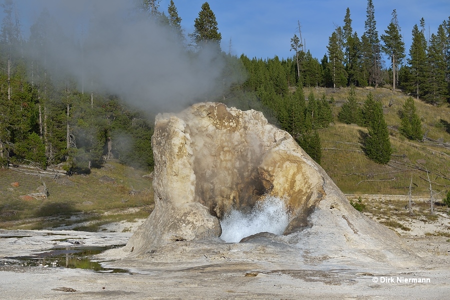 Giant Geyser Yellowstone