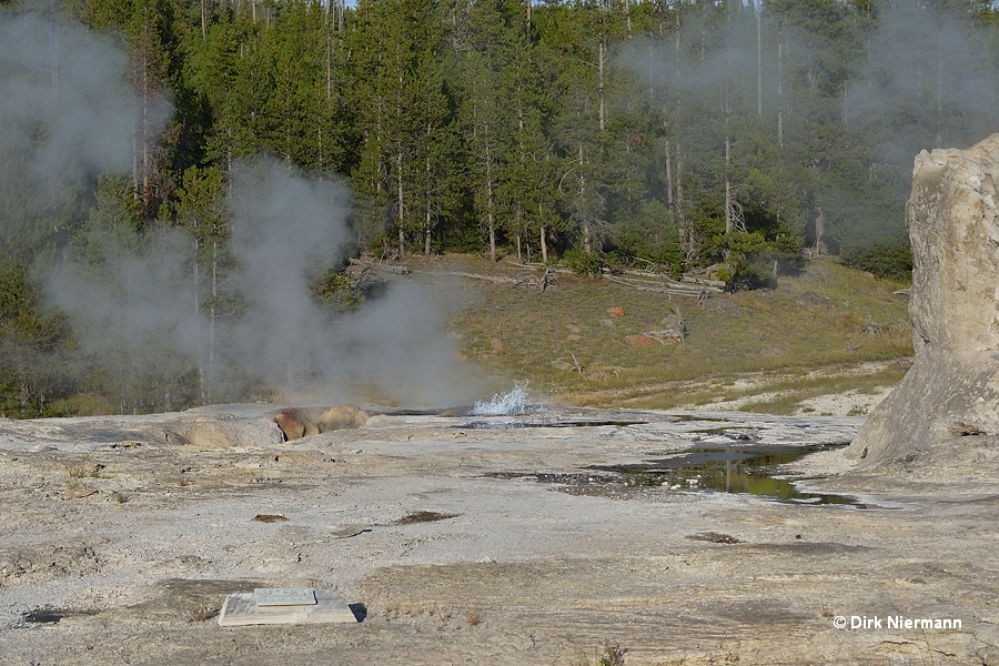 Mastiff Geyser Yellowstone