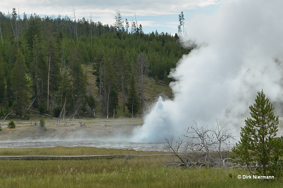 Oblong Geyser Yellowstone