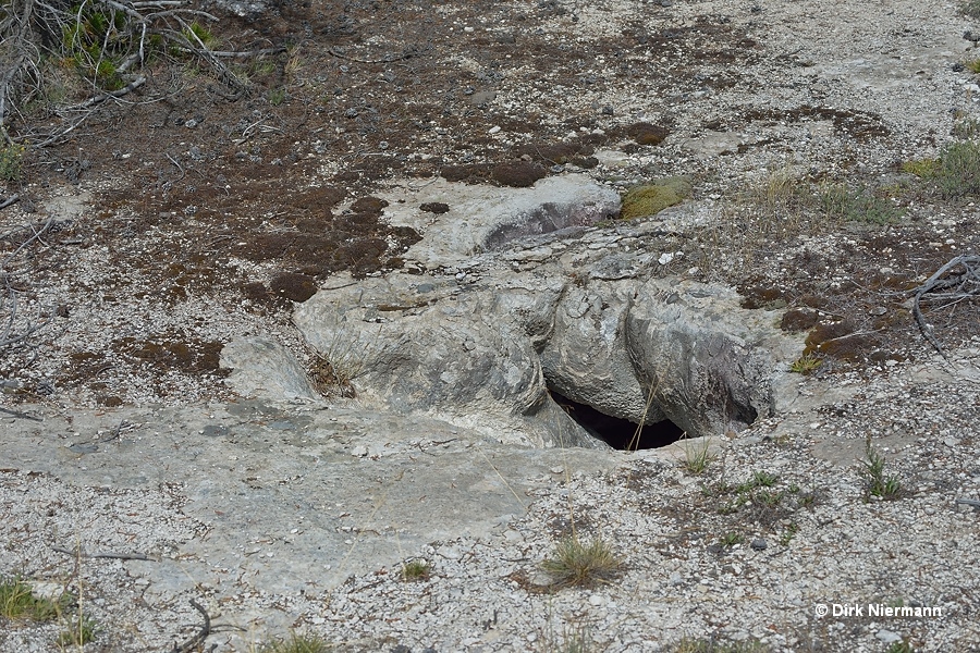 The GIP Yellowstone