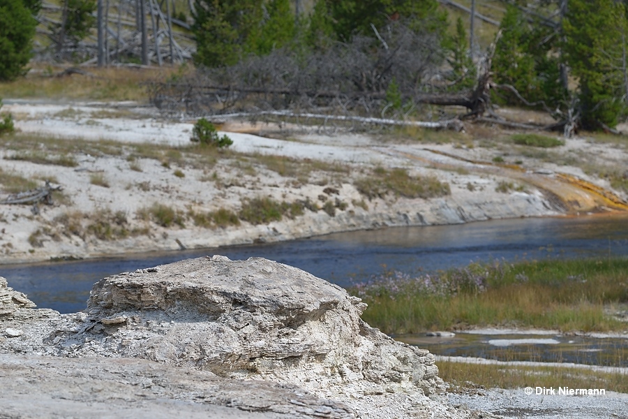 Turtle Geyser Yellowstone