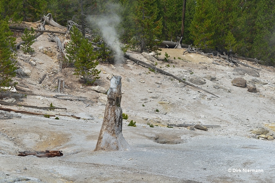 Monument Geyser Thermos Bottle Geyser Yellowstone