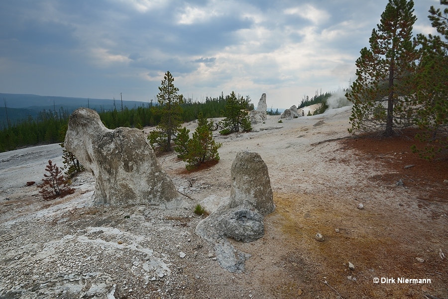 Trip Hammer Yellowstone