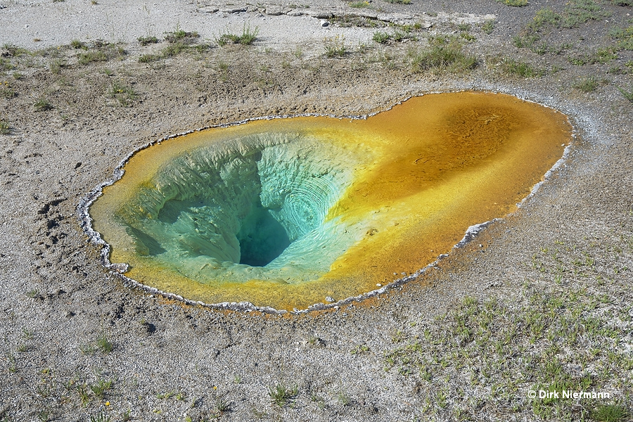 Belgian Pool Yellowstone