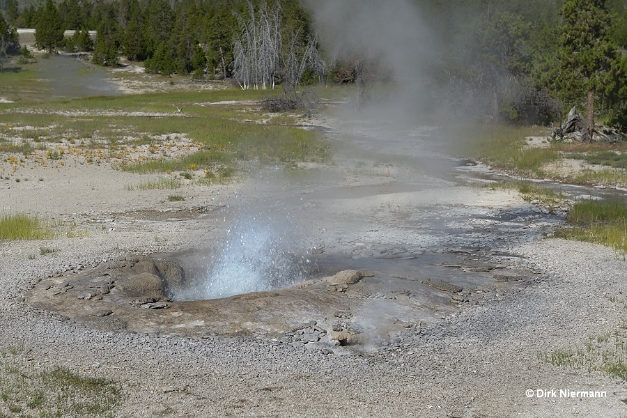 Bulger Spring Yellowstone