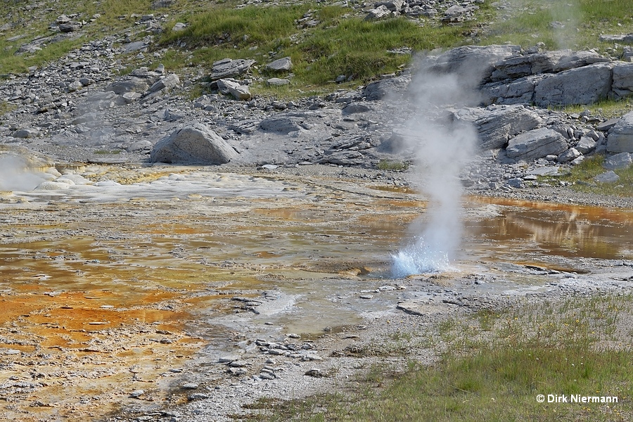 Percolator Geyser Yellowstone