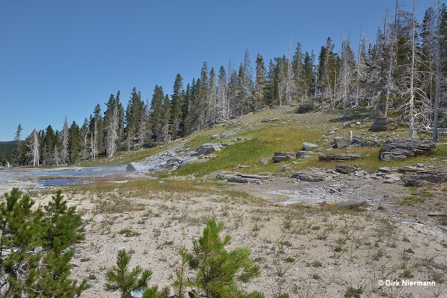 Rift Geyser Yellowstone