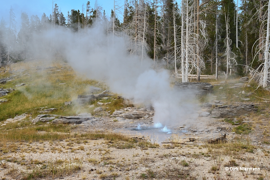 Rift Geyser Yellowstone