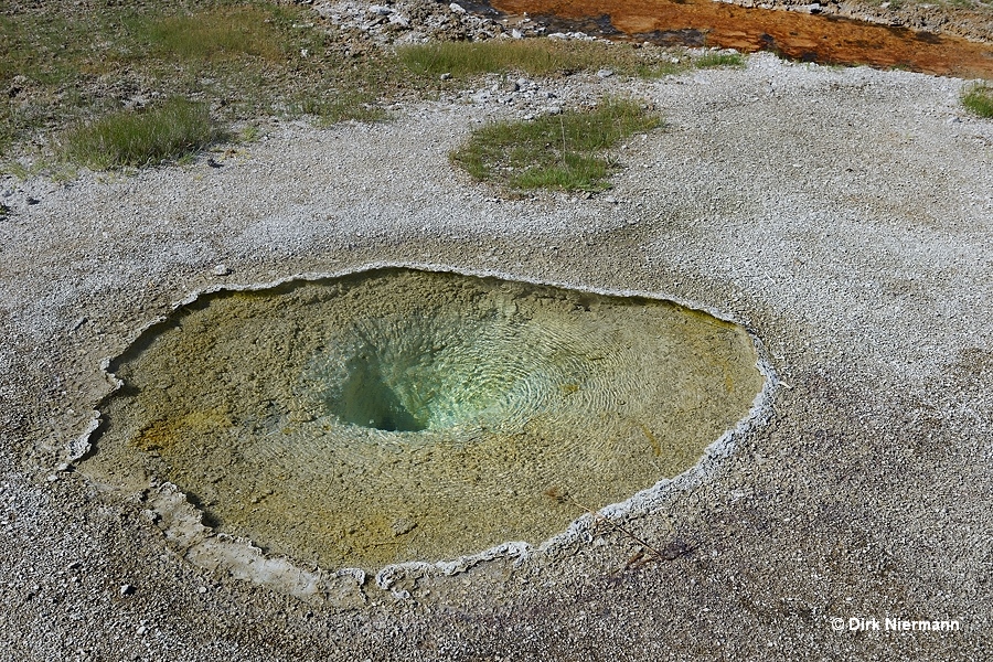 Topsoil Spring Yellowstone