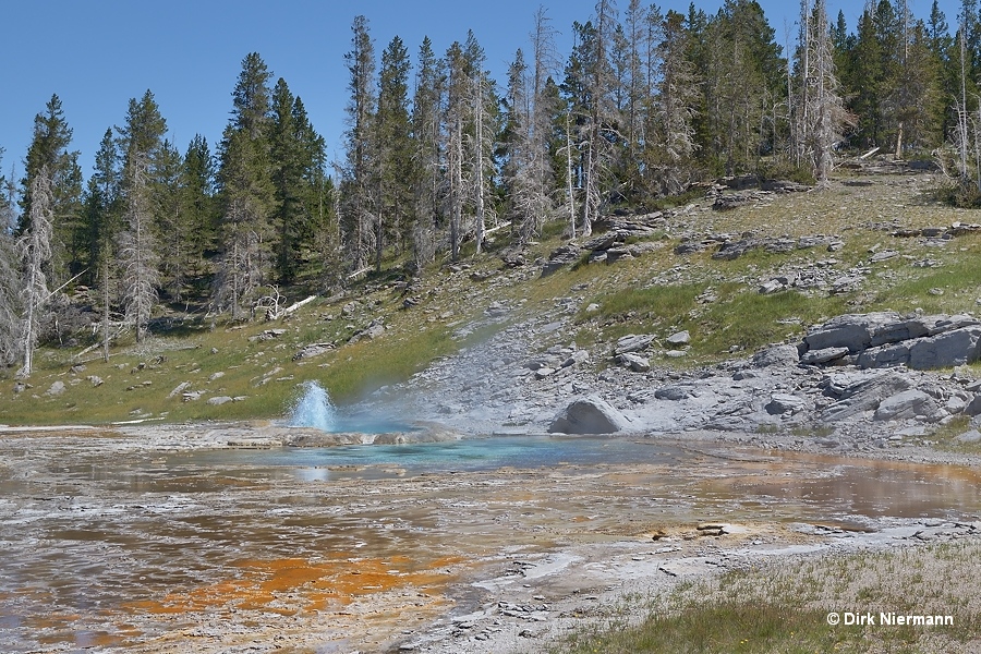 Turban Geyser Yellowstone
