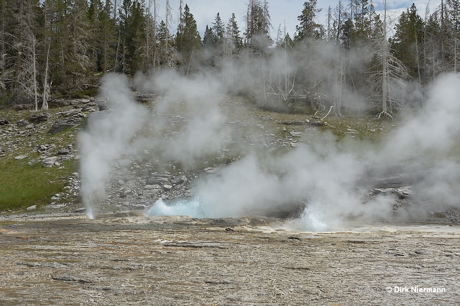 Vent Geyser, Turban Geyser and Grand Geyser Yellowstone