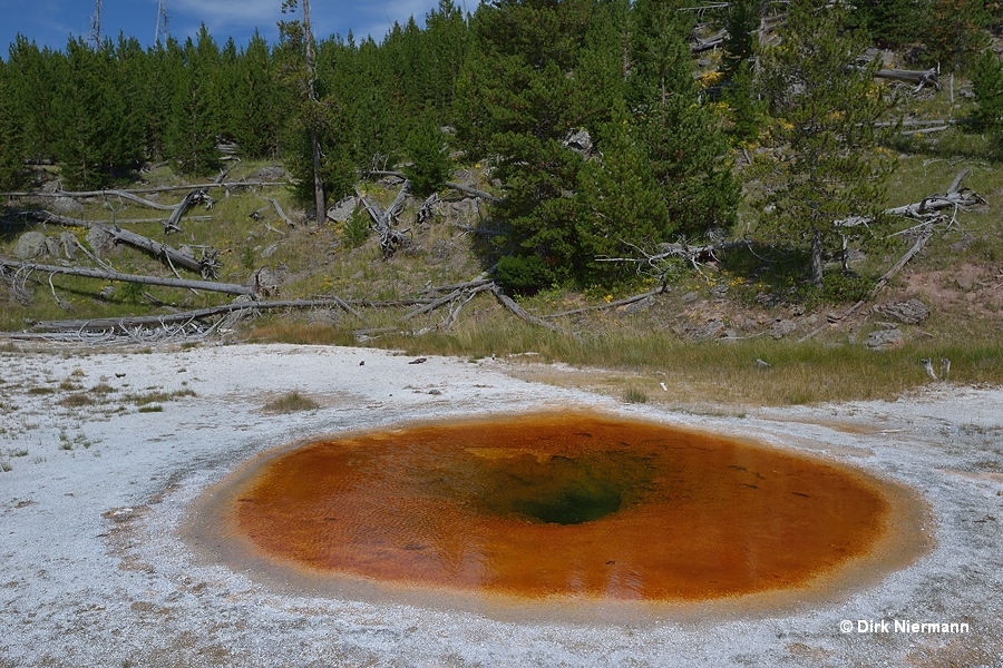 Wave Spring Yellowstone