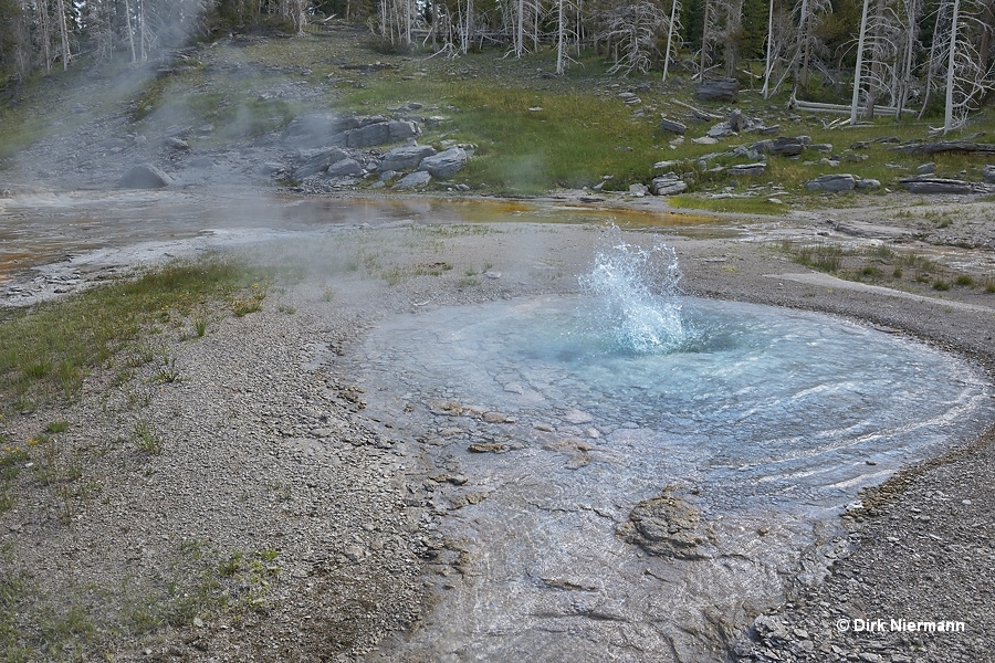 West Triplet Geyser Yellowstone