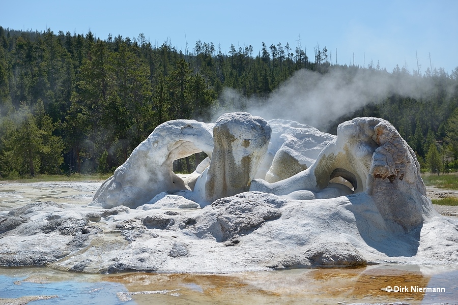 Grotto Geyser Yellowstone