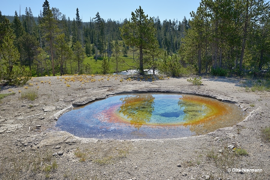 Marathon Pool Yellowstone