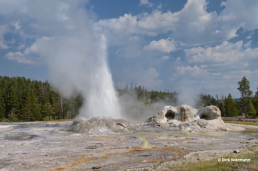 Rocket Geyser Yellowstone