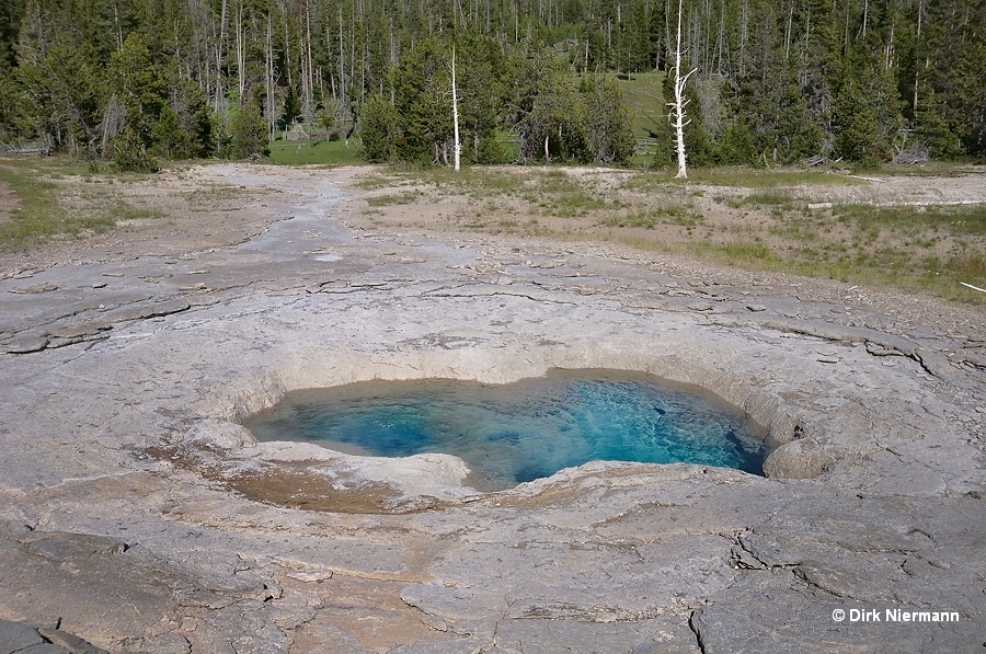 Spa Geyser Yellowstone