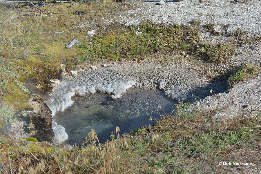 UGGNN005 Yellowstone