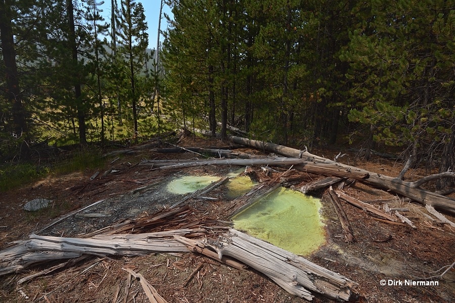 Steam from Dante's Inferno: Sylvan Springs, Yellowstone National Park,  Wyoming