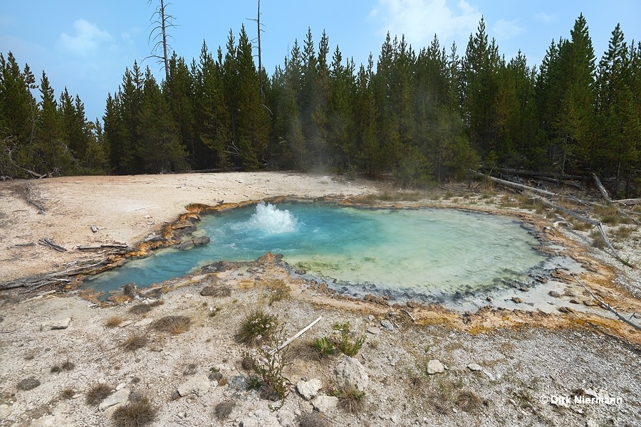 Spouter GSSGNN025 Yellowstone