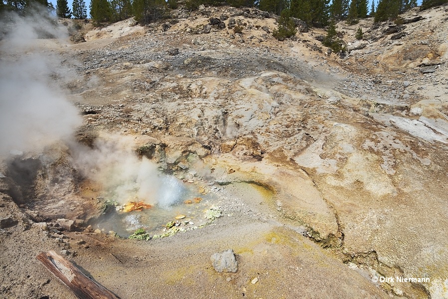 Spouter GSSGNN057 Yellowstone