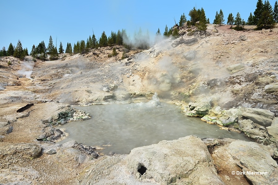 Steam from Dante's Inferno: Sylvan Springs, Yellowstone National Park,  Wyoming