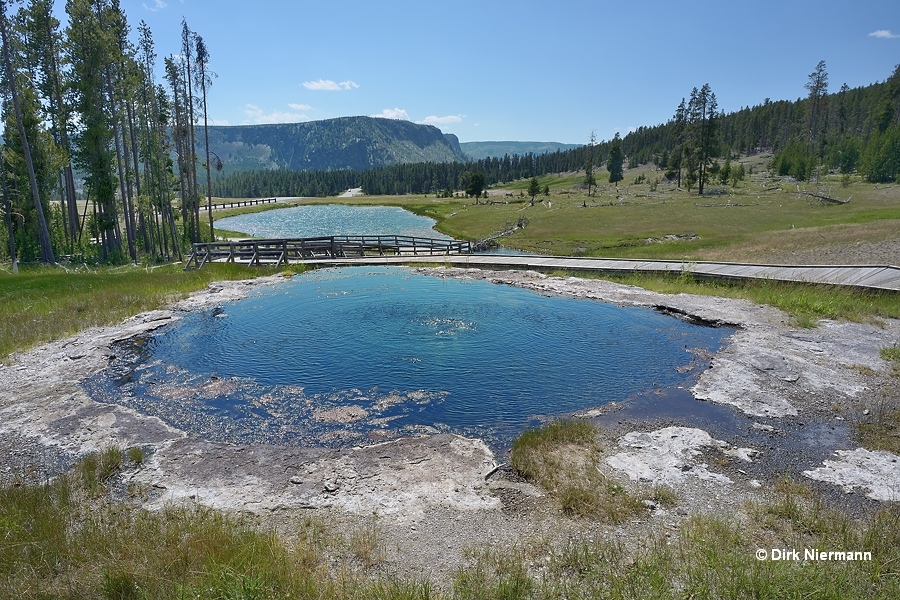 Terrace Springs GTSANN004 Yellowstone