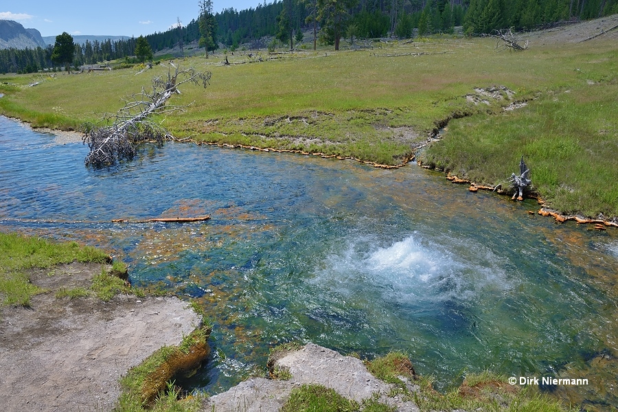 Terrace Spring Yellowstone