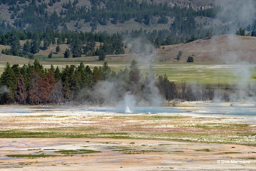 Drain Geyser Yellowstone