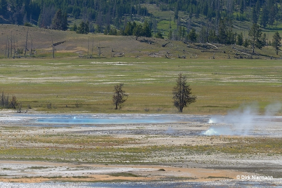 Honey's Vent Yellowstone