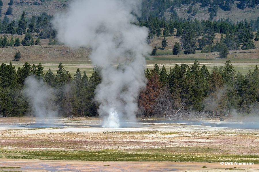 Three Vent Geyser