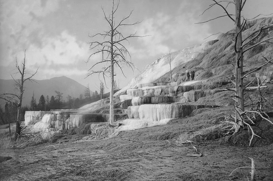 Pulpit Terrace Mammoth Hot Springs Yellowstone