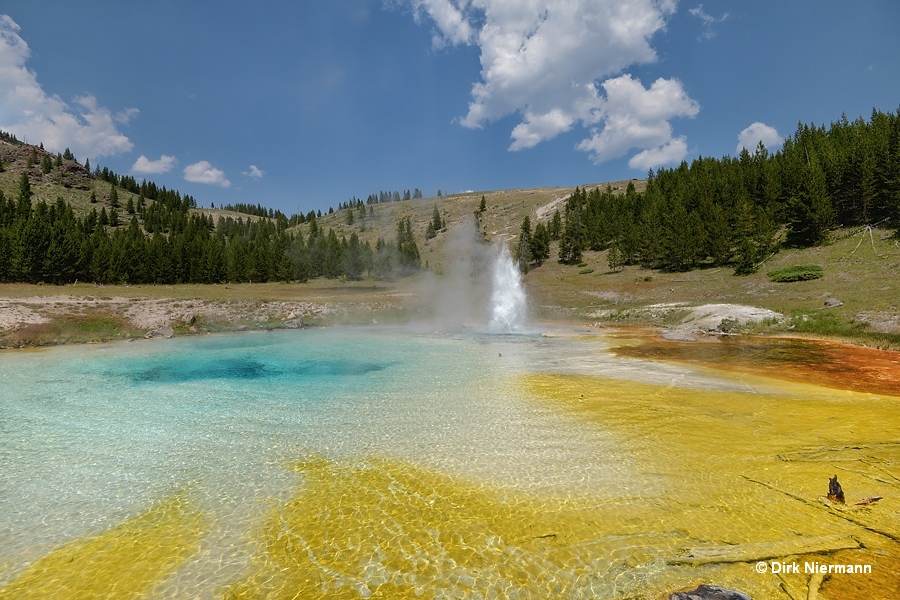 Imperial Geyser Yellowstone