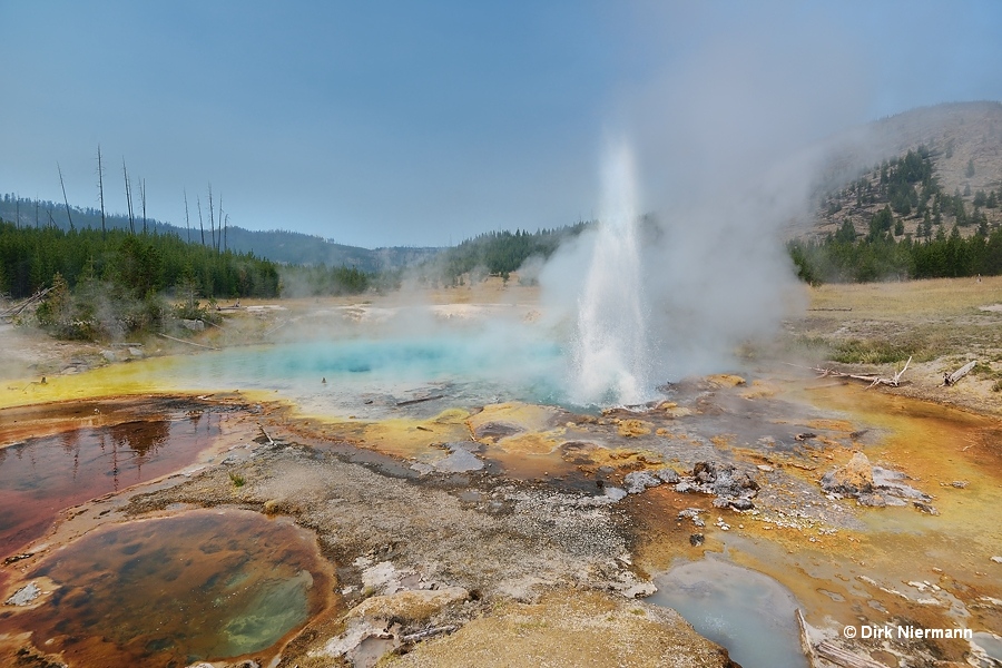 Imperial Geyser Yellowstone