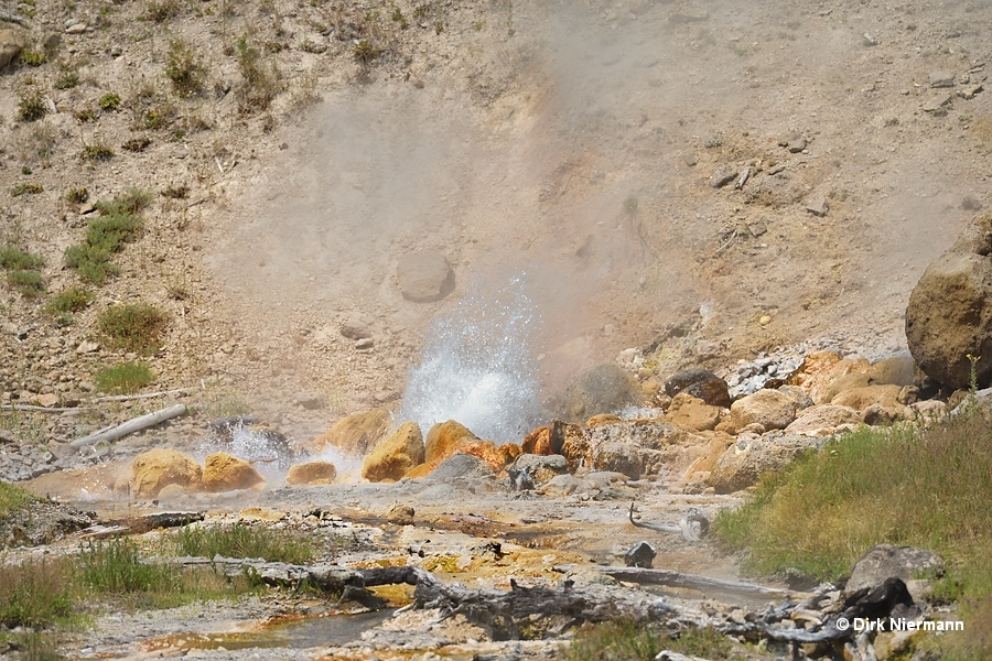 Spray Geyser Yellowstone