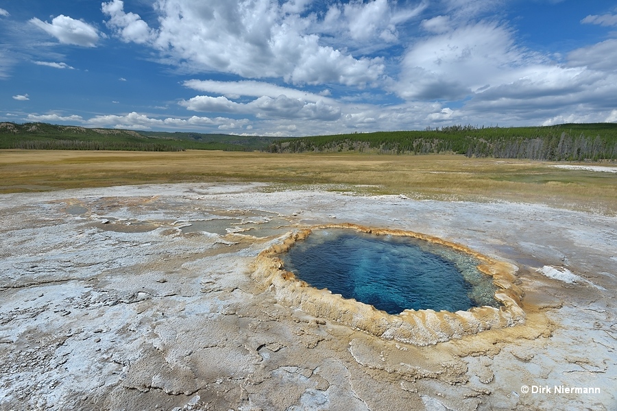 Flat Cone Spring Yellowstone