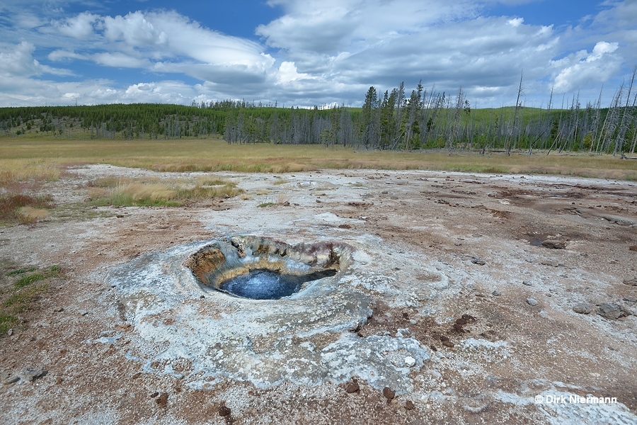 LSMGNN004 Yellowstone